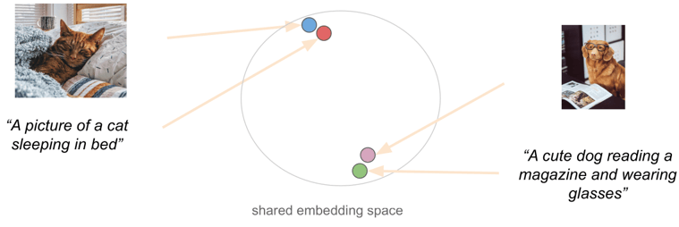 Shared embedding space